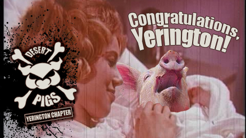 A new Pig chapter is born!